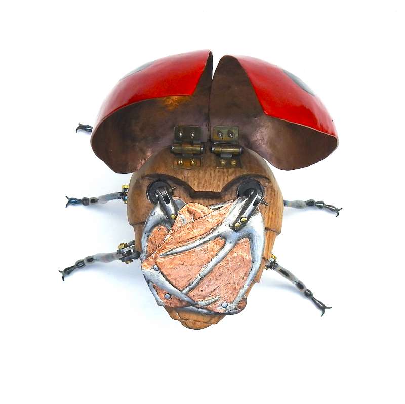 Ladybird